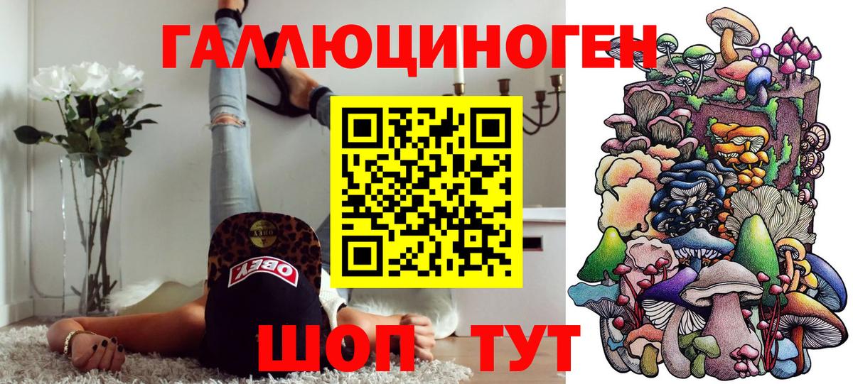 Ефремов  Псилоцибиновые грибы MAGIC MUSHROOMS  где можно купить наркотик  Вход с VPN 