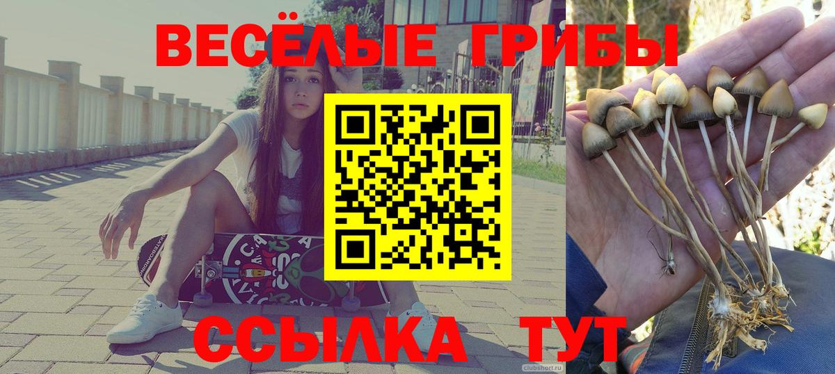 Галлюциногенные грибы ЛСД Ефремов